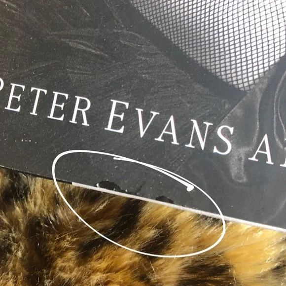 Ava Gardner: The Secret Conversations book Old Hollywood Biography - Picture 7 of 13